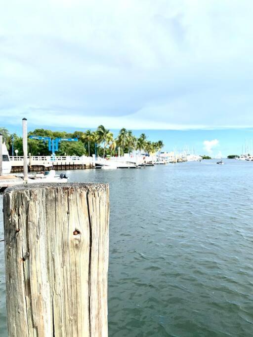 Groveo6 10 Minutes From The Beach Miami Bagian luar foto