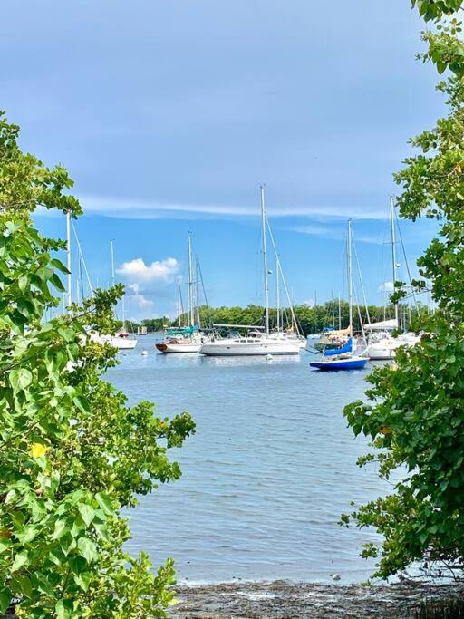 Groveo6 10 Minutes From The Beach Miami Bagian luar foto